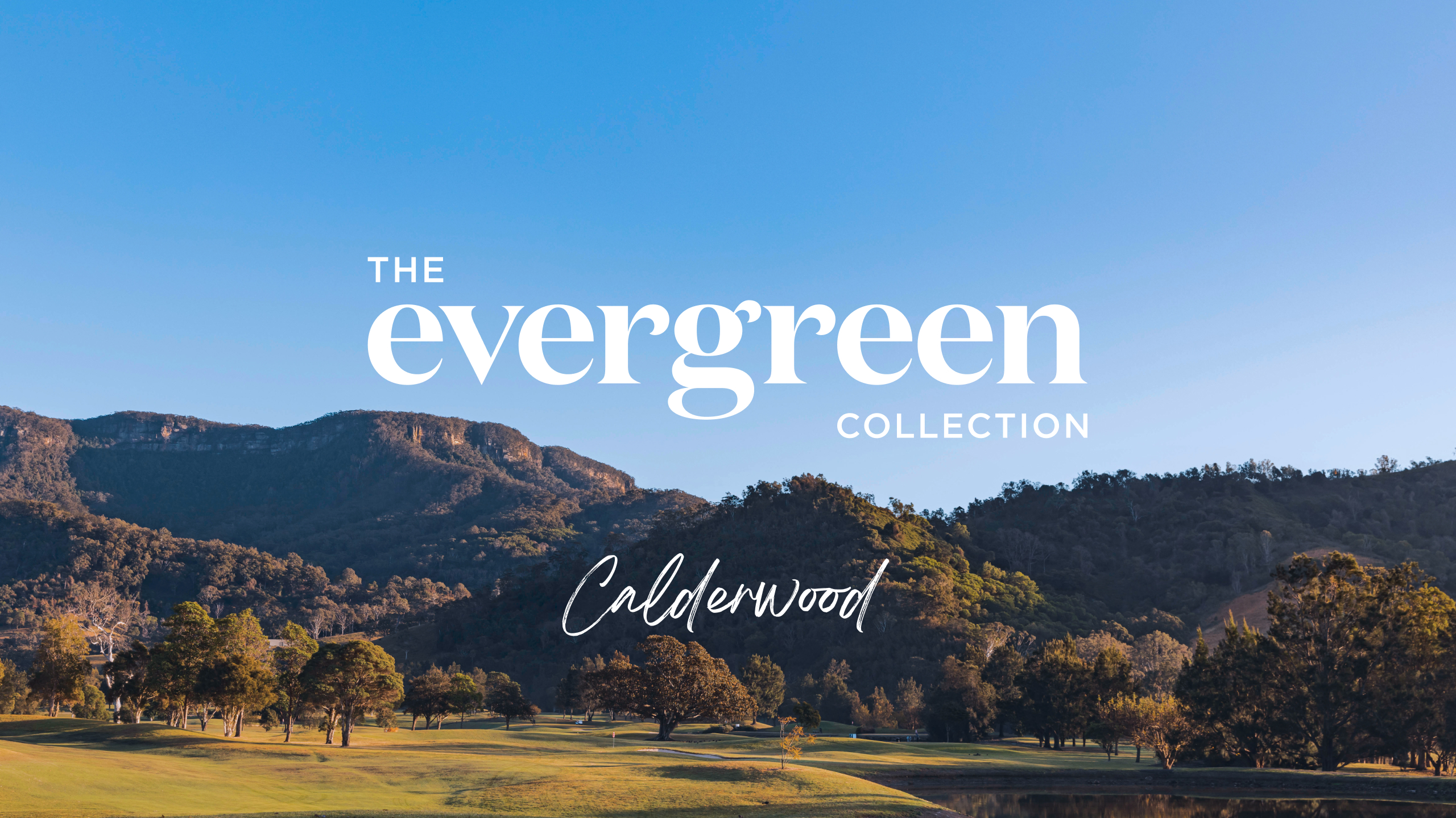 Evergreen_Thumbnail_2560x1440